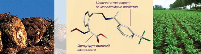 Структурная формула Трифлоксистробина